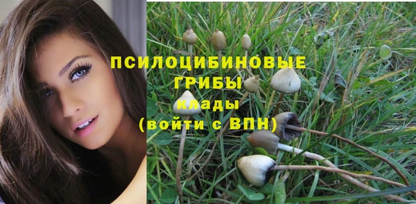 амфетамин Алексин