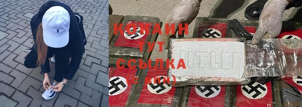 крисы Алексеевка