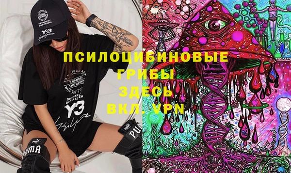 крисы Алексеевка